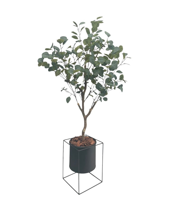 4ft eucalytus tree and black steel planter combo