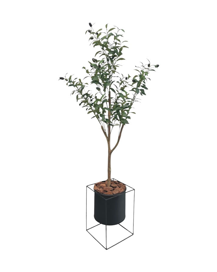 4ft olive tree and black steel planter combo