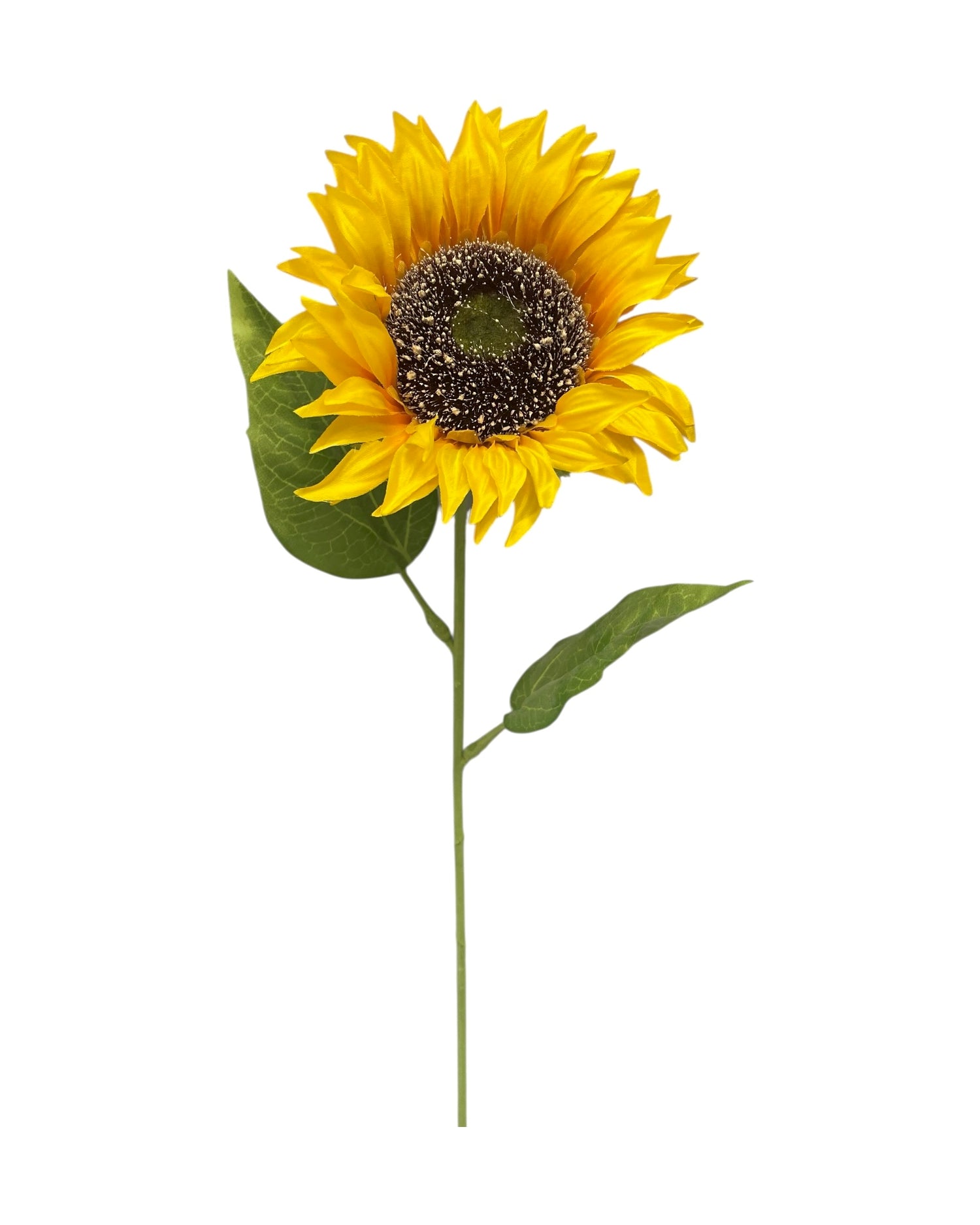 sunflower single 66cm