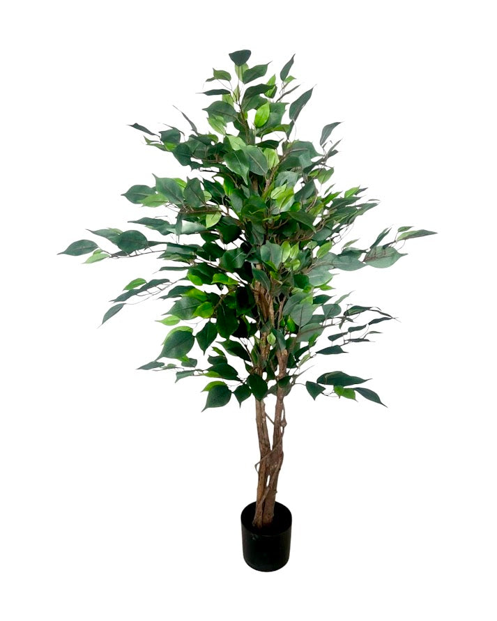 4ft ficus tree and black steele planter combo