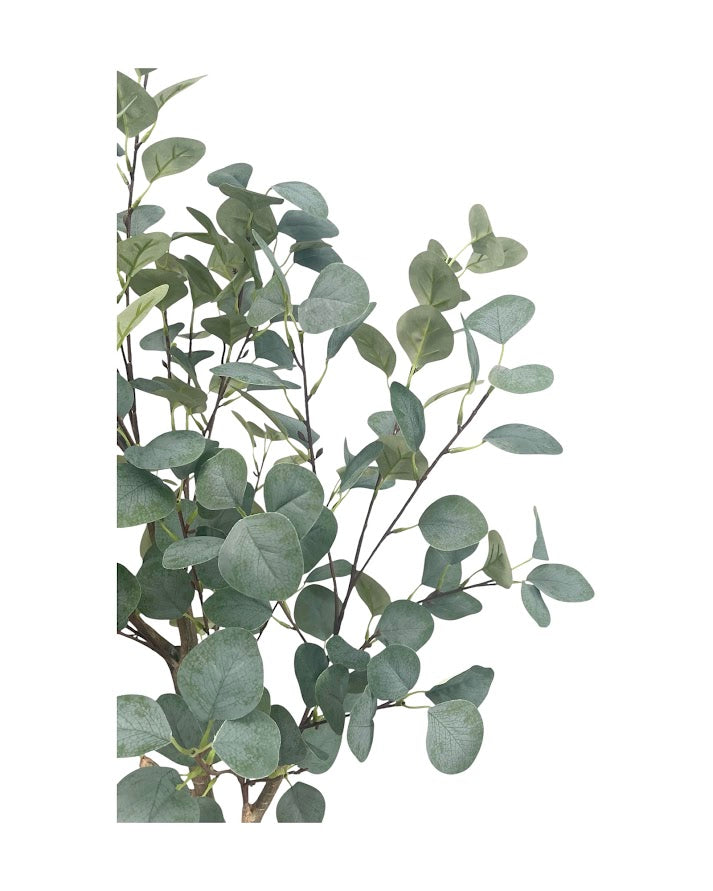 4ft eucalytus tree and black steel planter combo