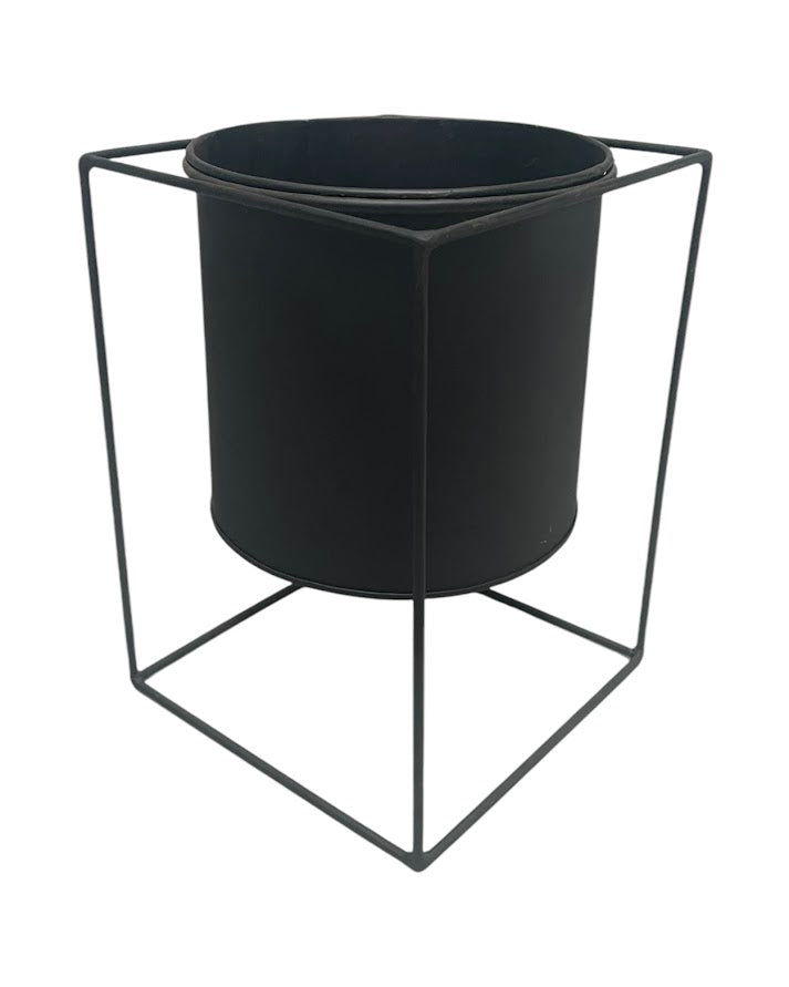 4ft eucalytus tree and black steel planter combo