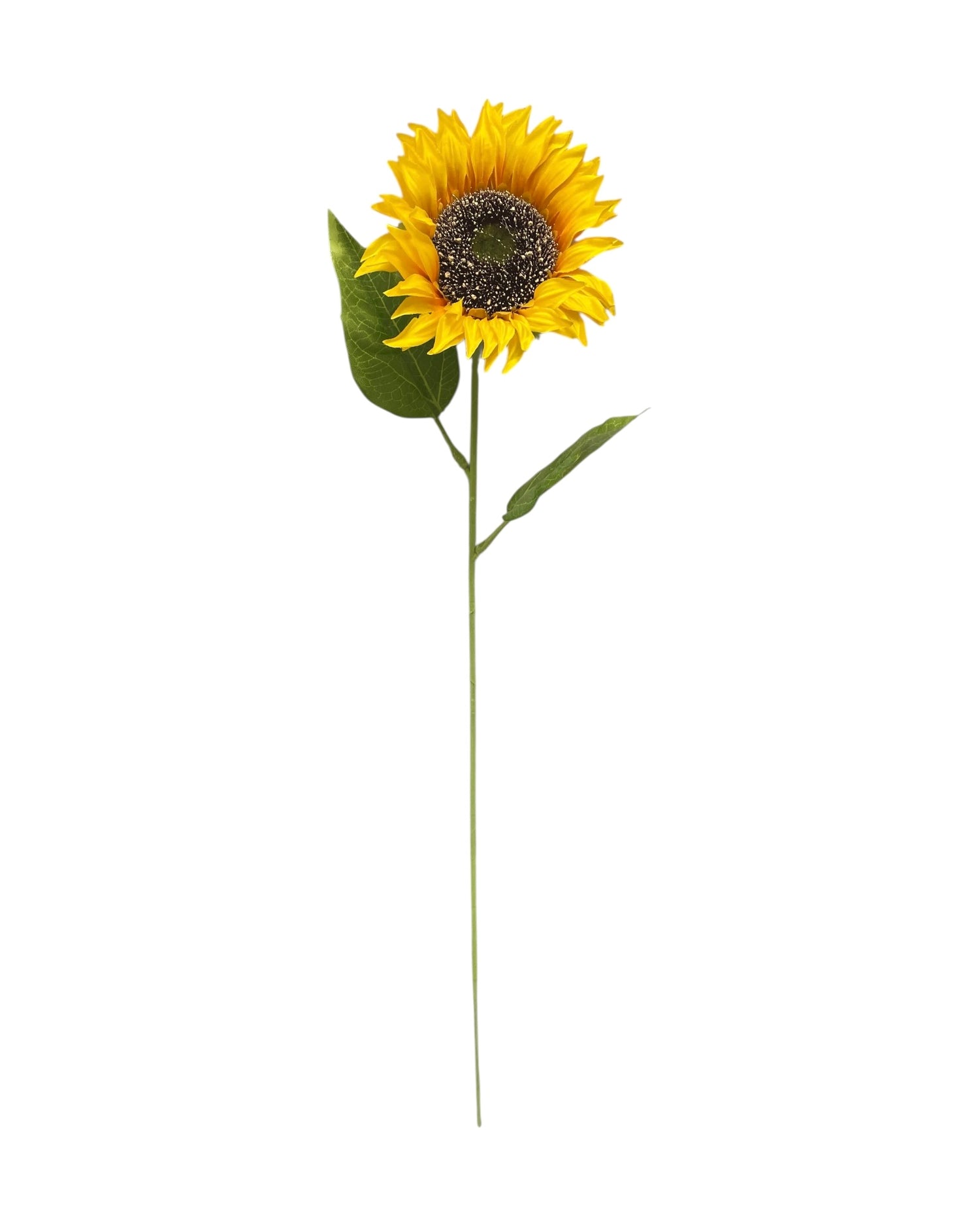 sunflower single 66cm