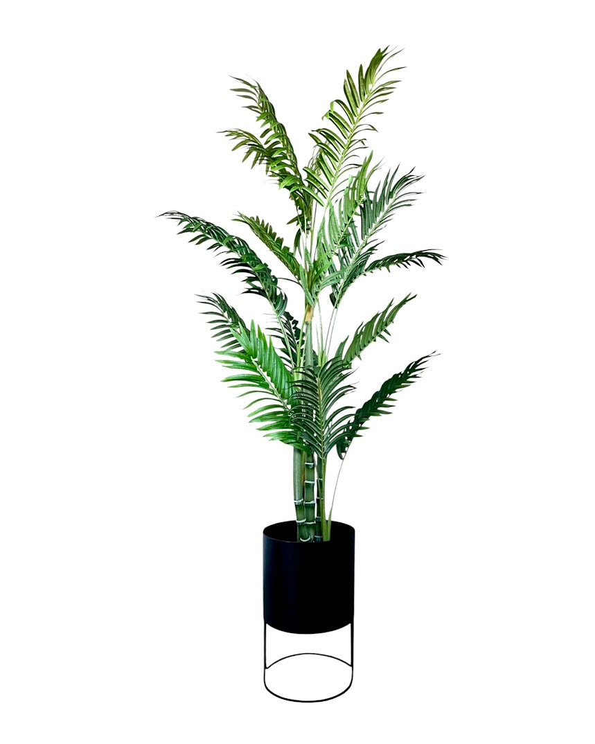 4ft areca palm tree and black metal round planter