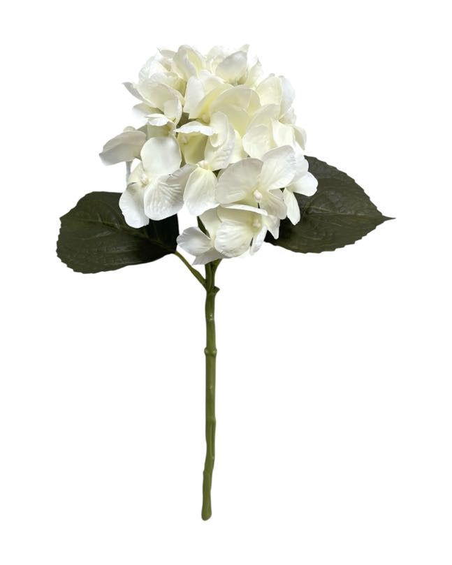 hydrangea small