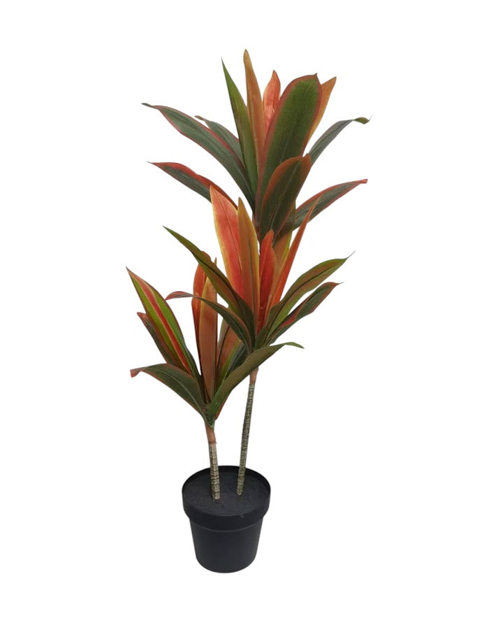 3ft dracaenatree 36lvs
