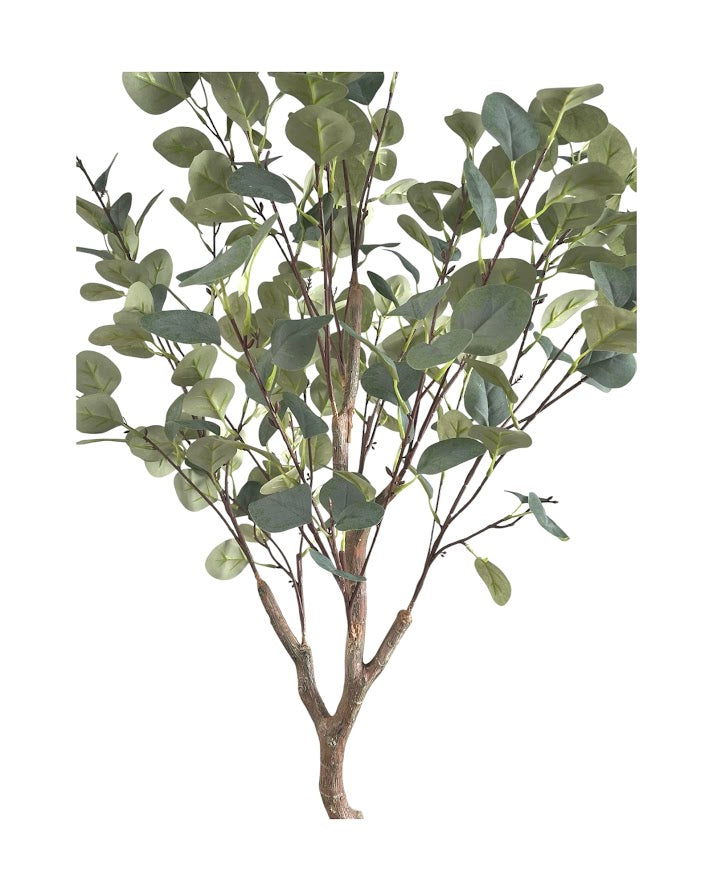 4ft eucalytus tree and black steel planter combo