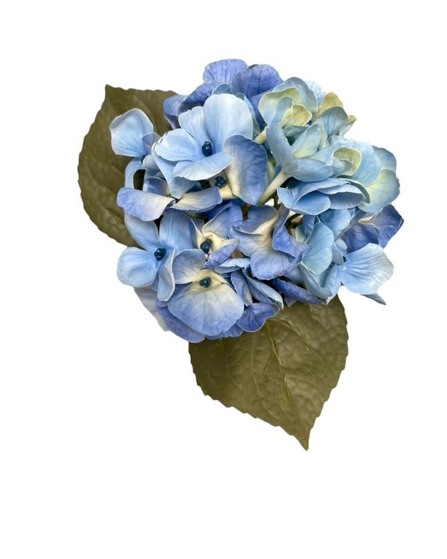 hydrangea small