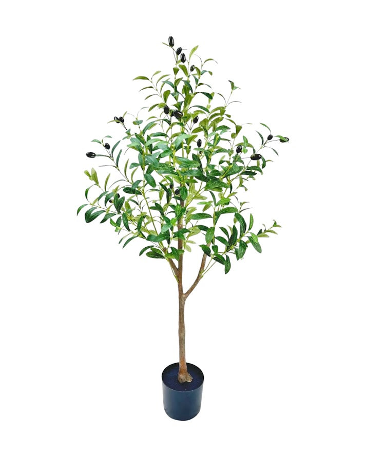 4ft olive tree and black steel planter combo