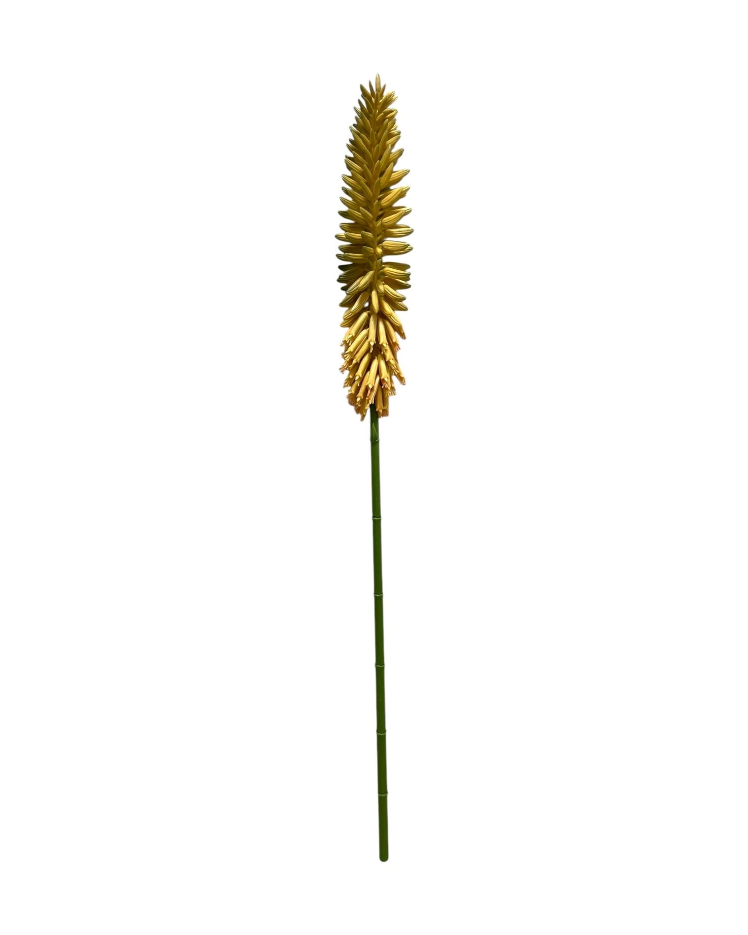 aloe flower 30''