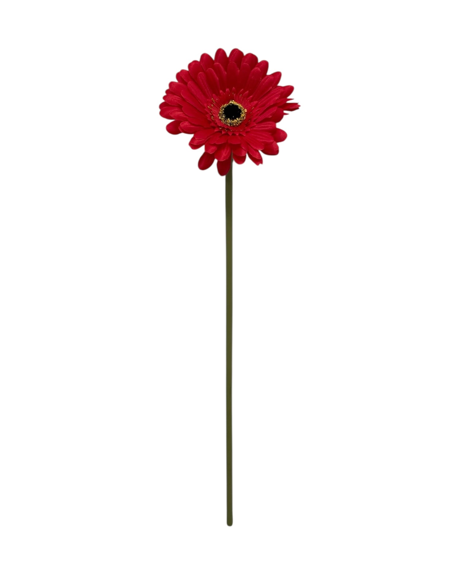 gerbera 50cm