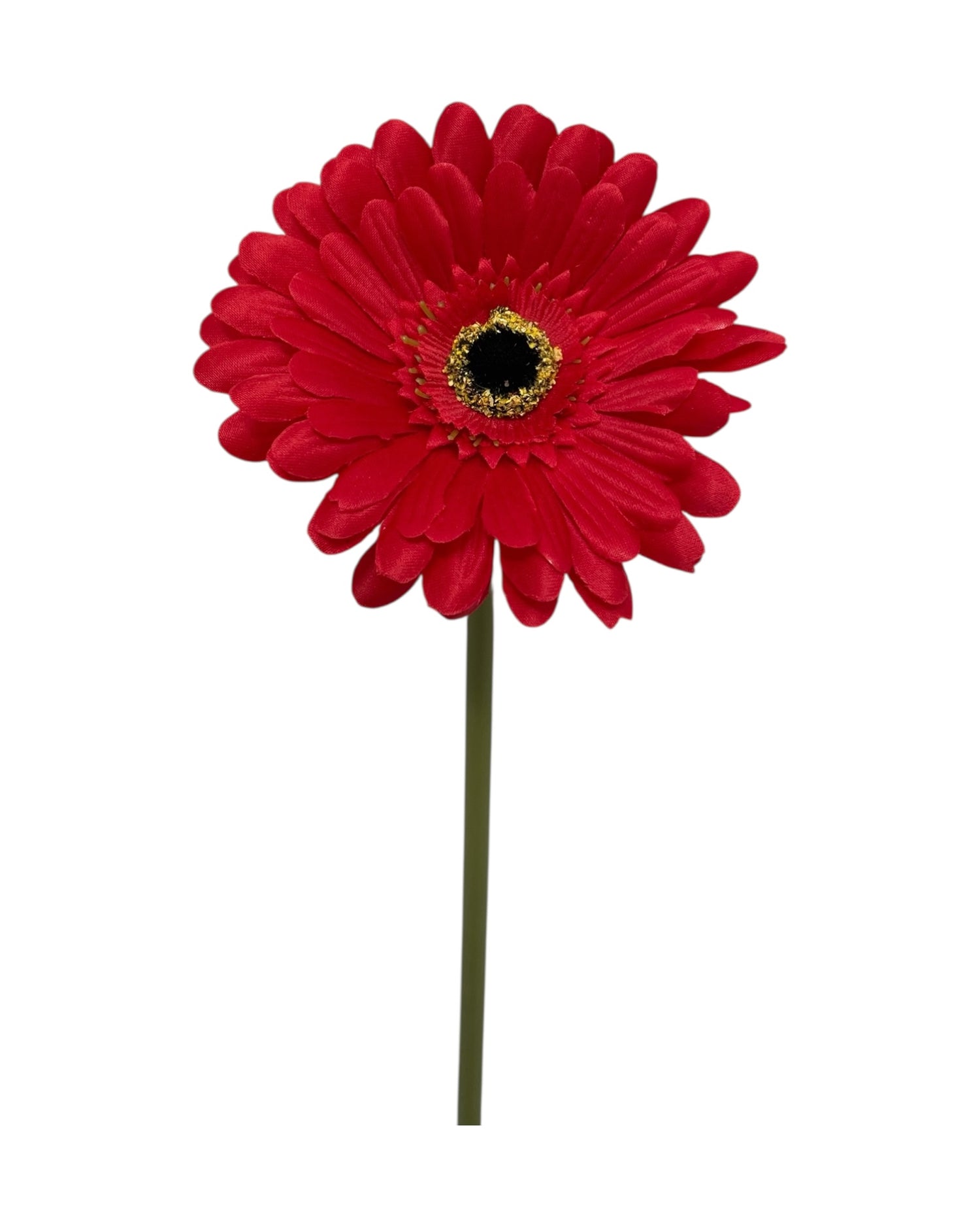 gerbera 50cm