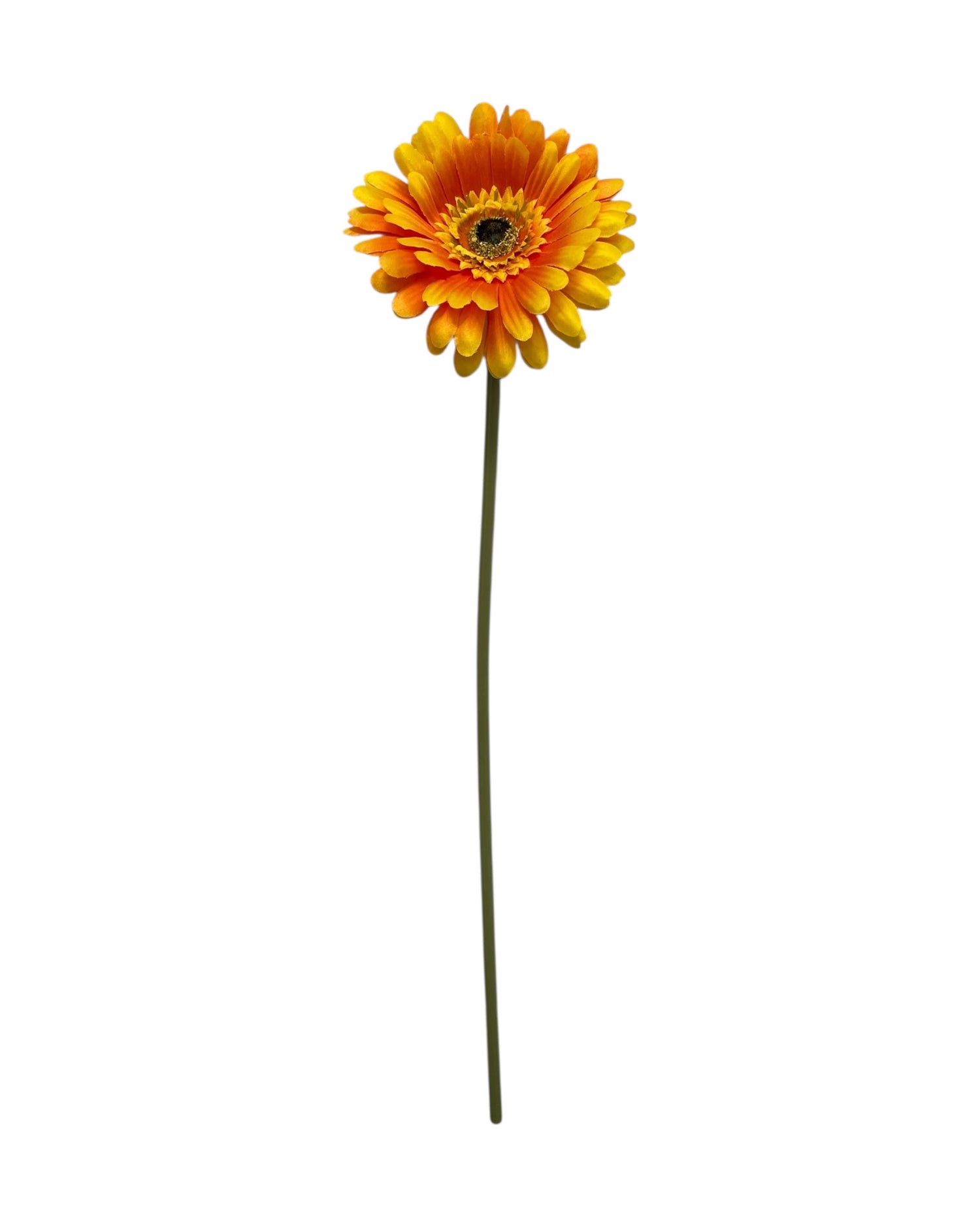 gerbera 50cm