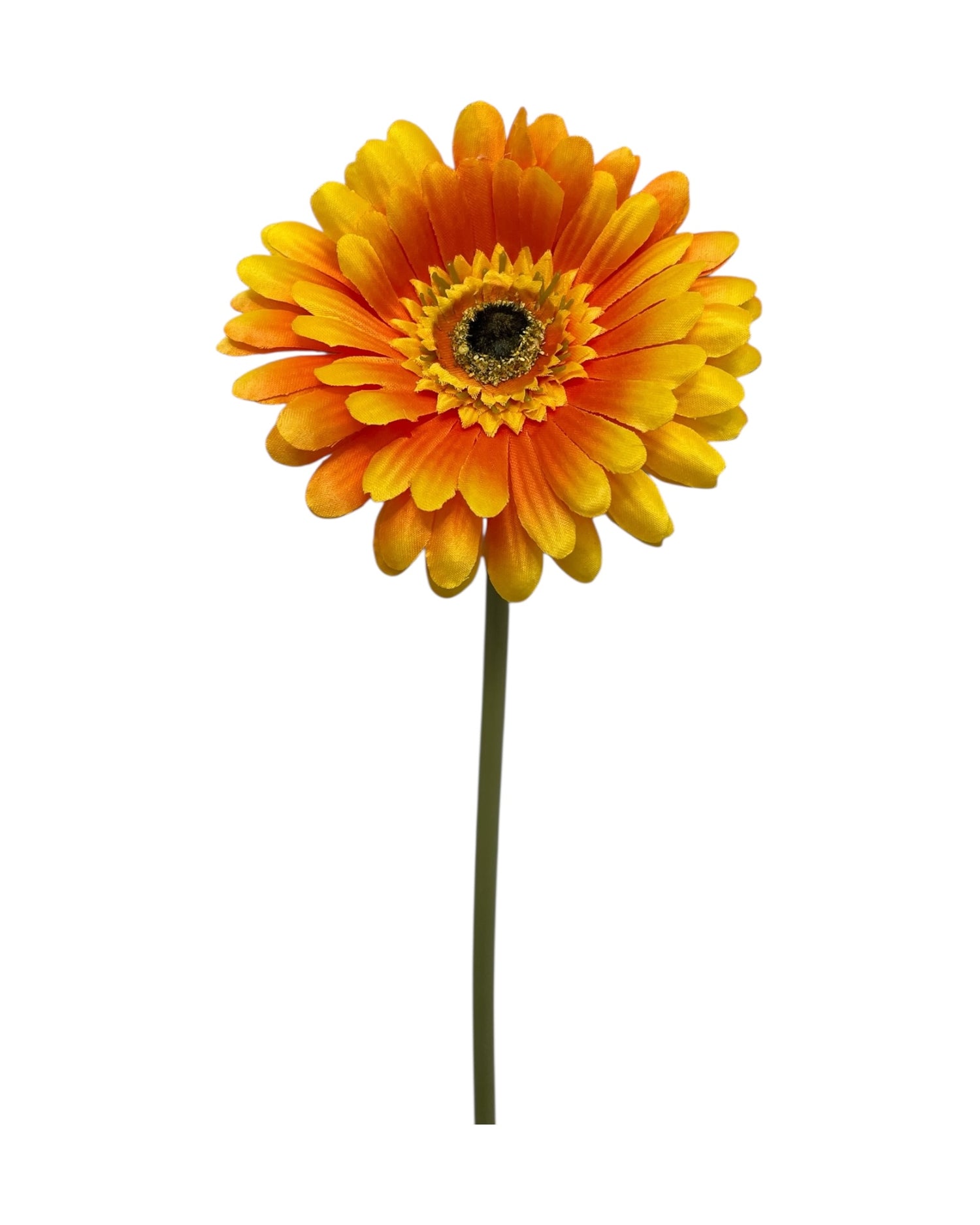 gerbera 50cm