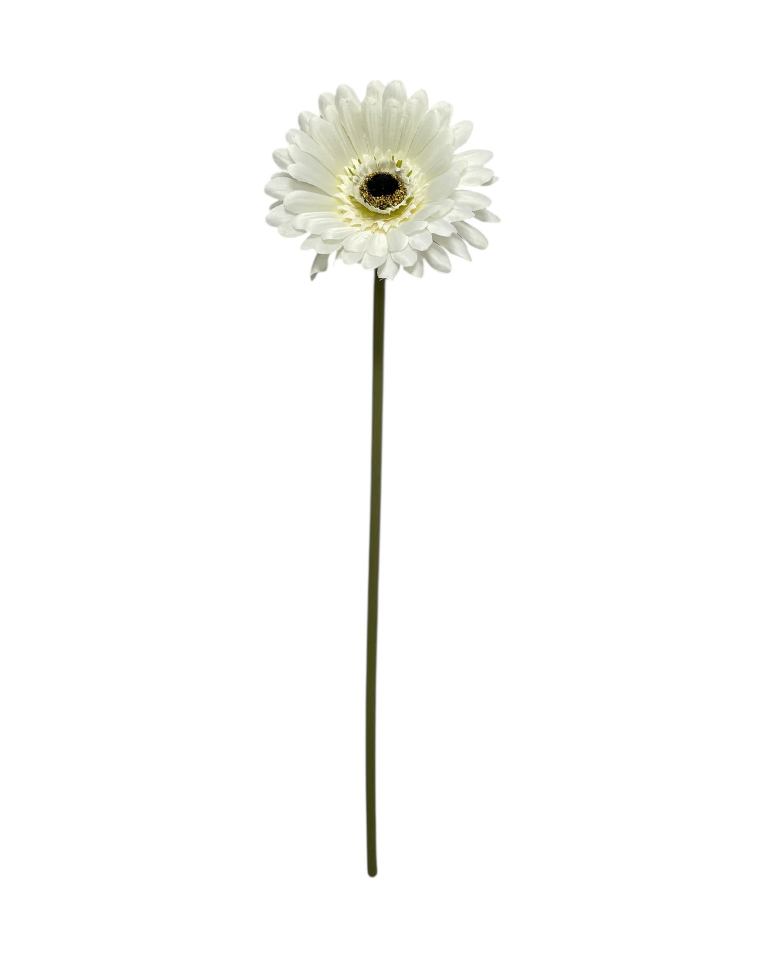 gerbera 50cm