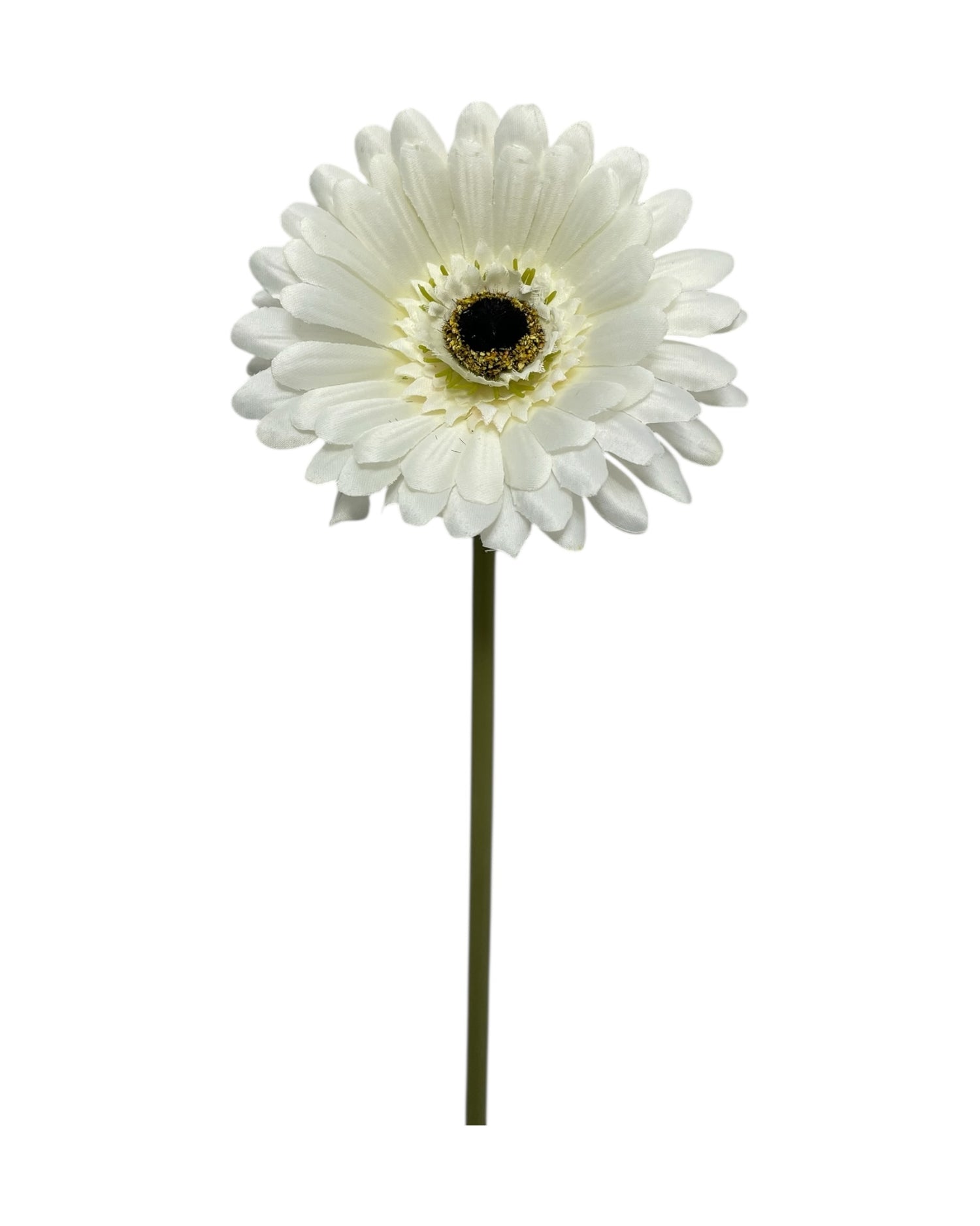 gerbera 50cm