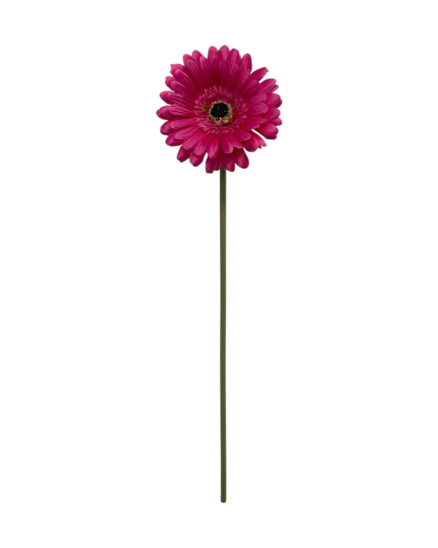gerbera 50cm