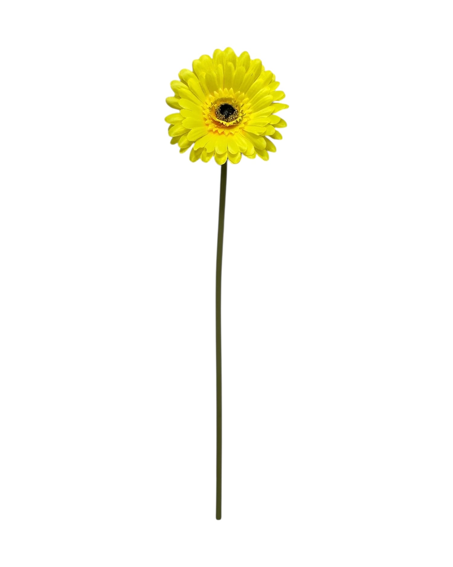 gerbera 50cm