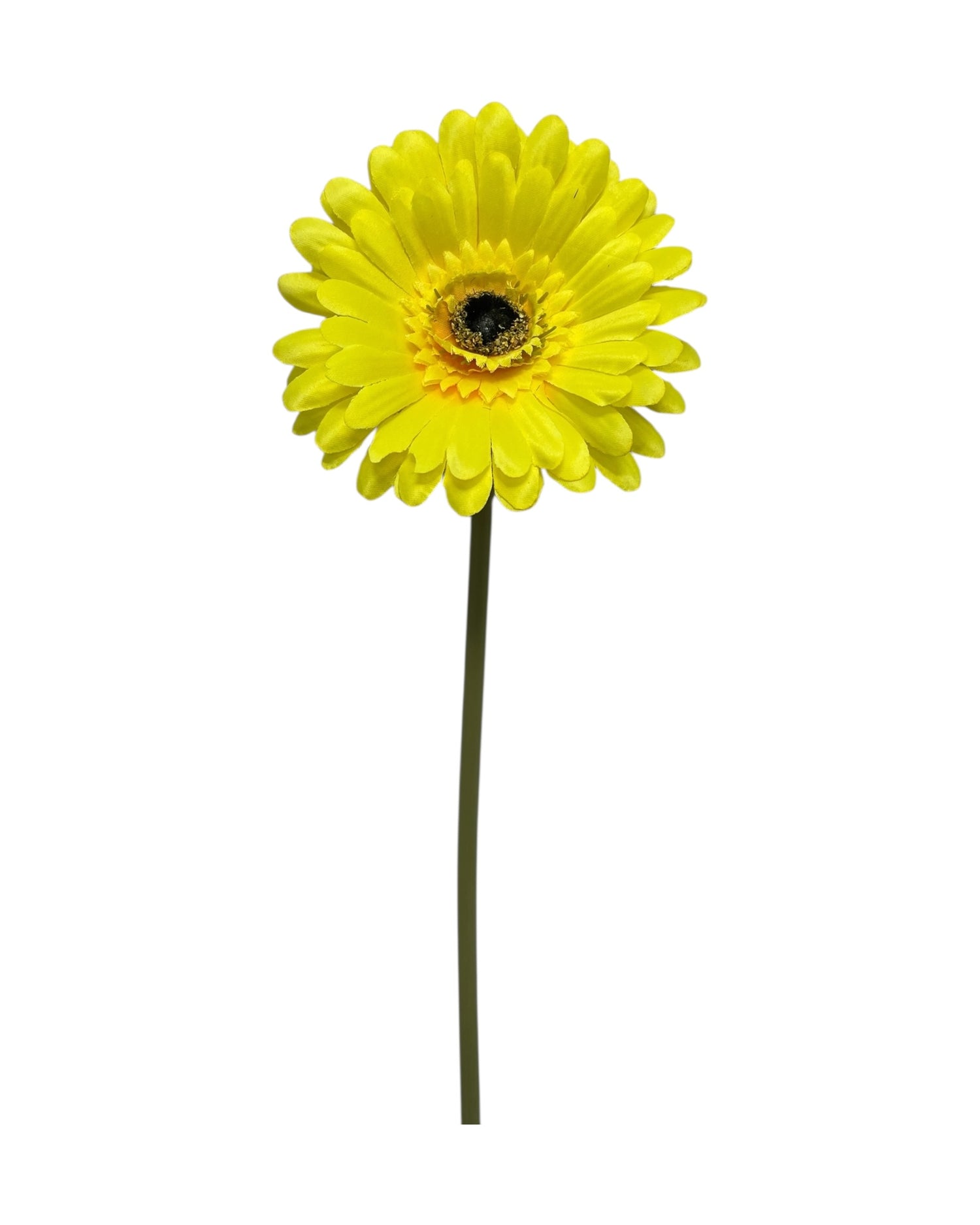 gerbera 50cm