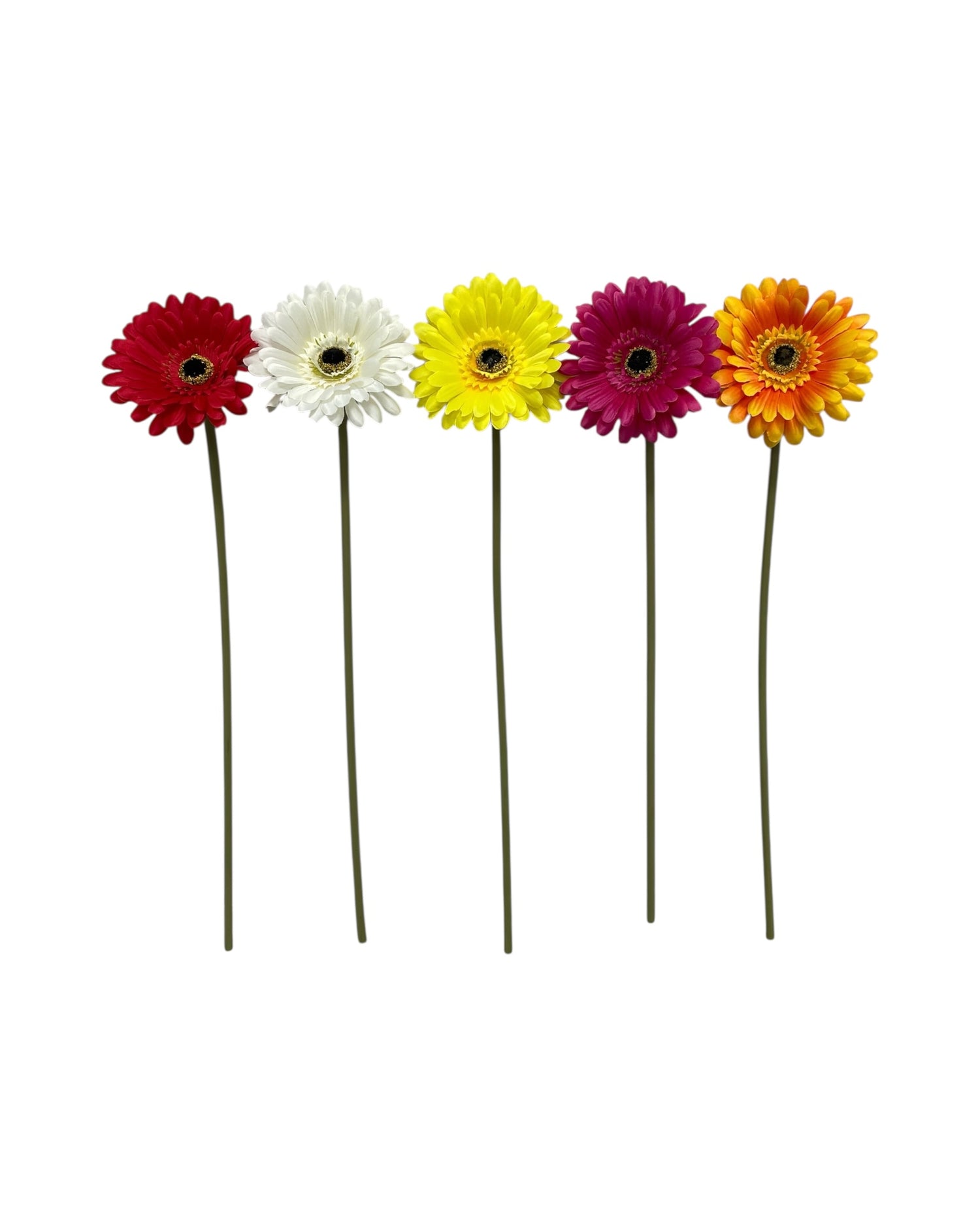 gerbera 50cm