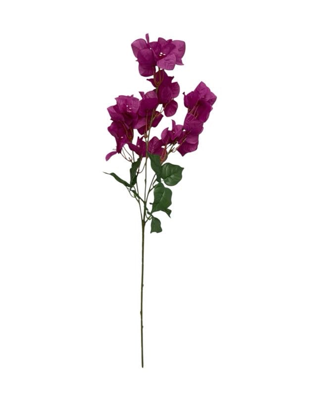 bouganville single stem 74cm
