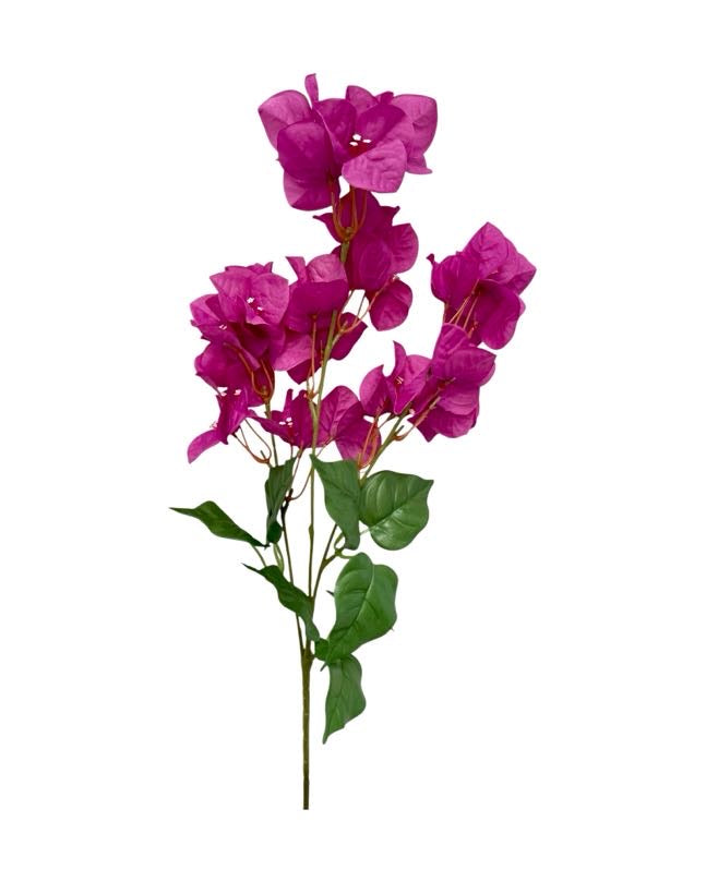 bouganville single stem 74cm