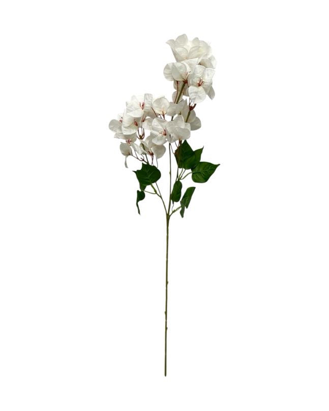 bouganville single stem 74cm