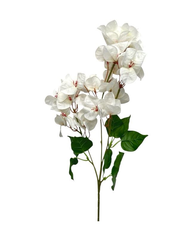 bouganville single stem 74cm
