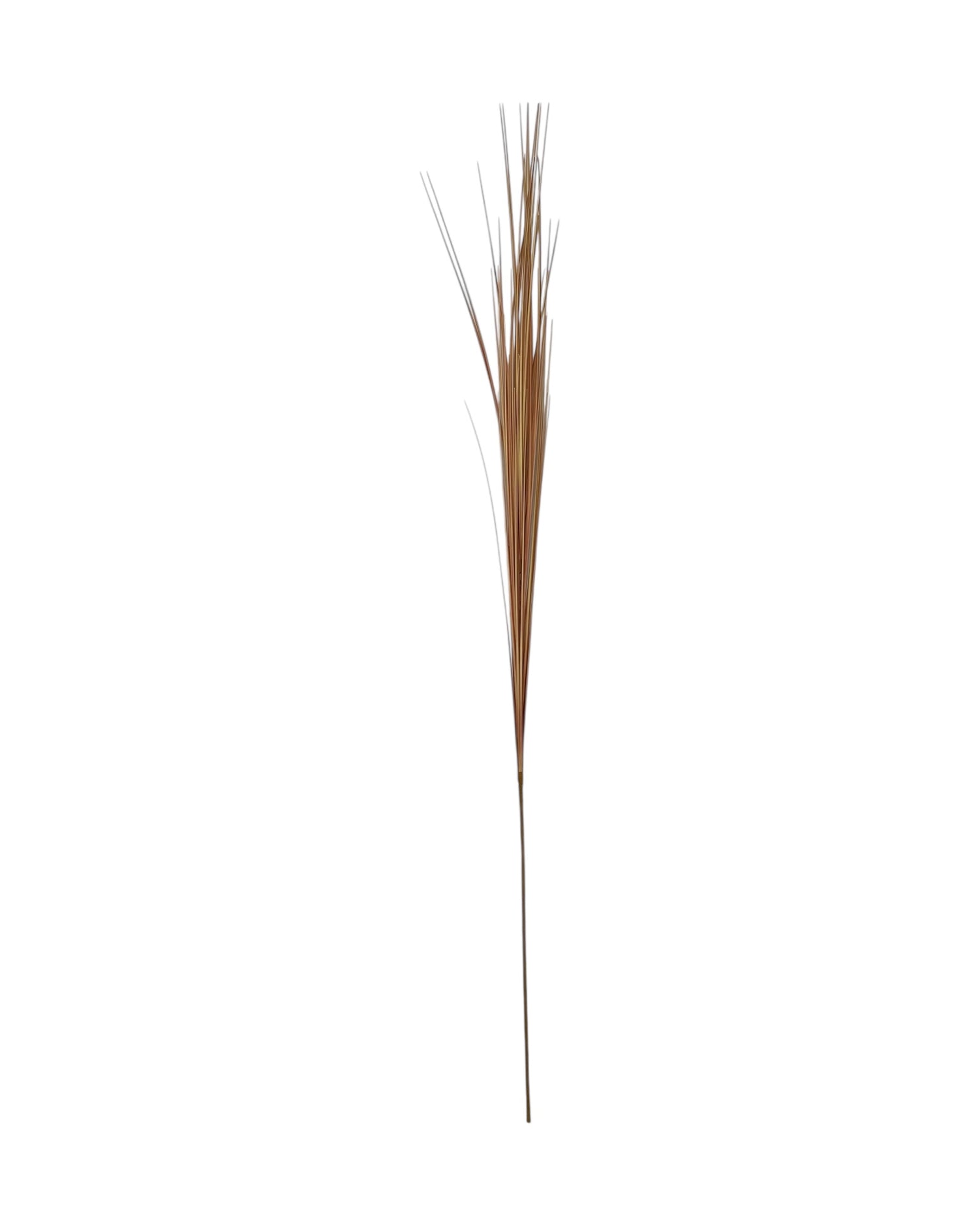 onion grass 109cm