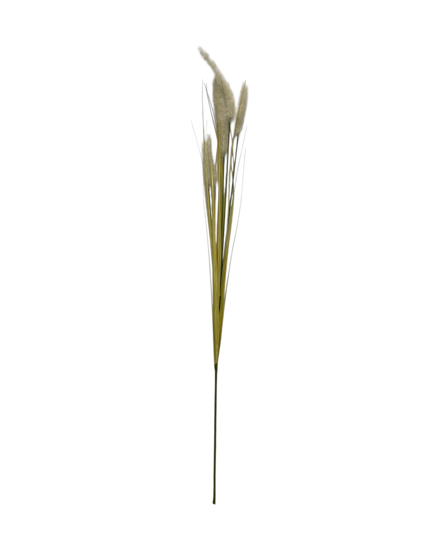 onion grass foxtail 92cm