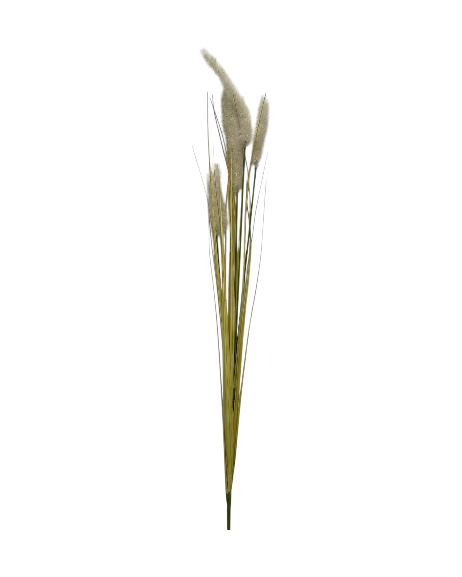 onion grass foxtail 92cm