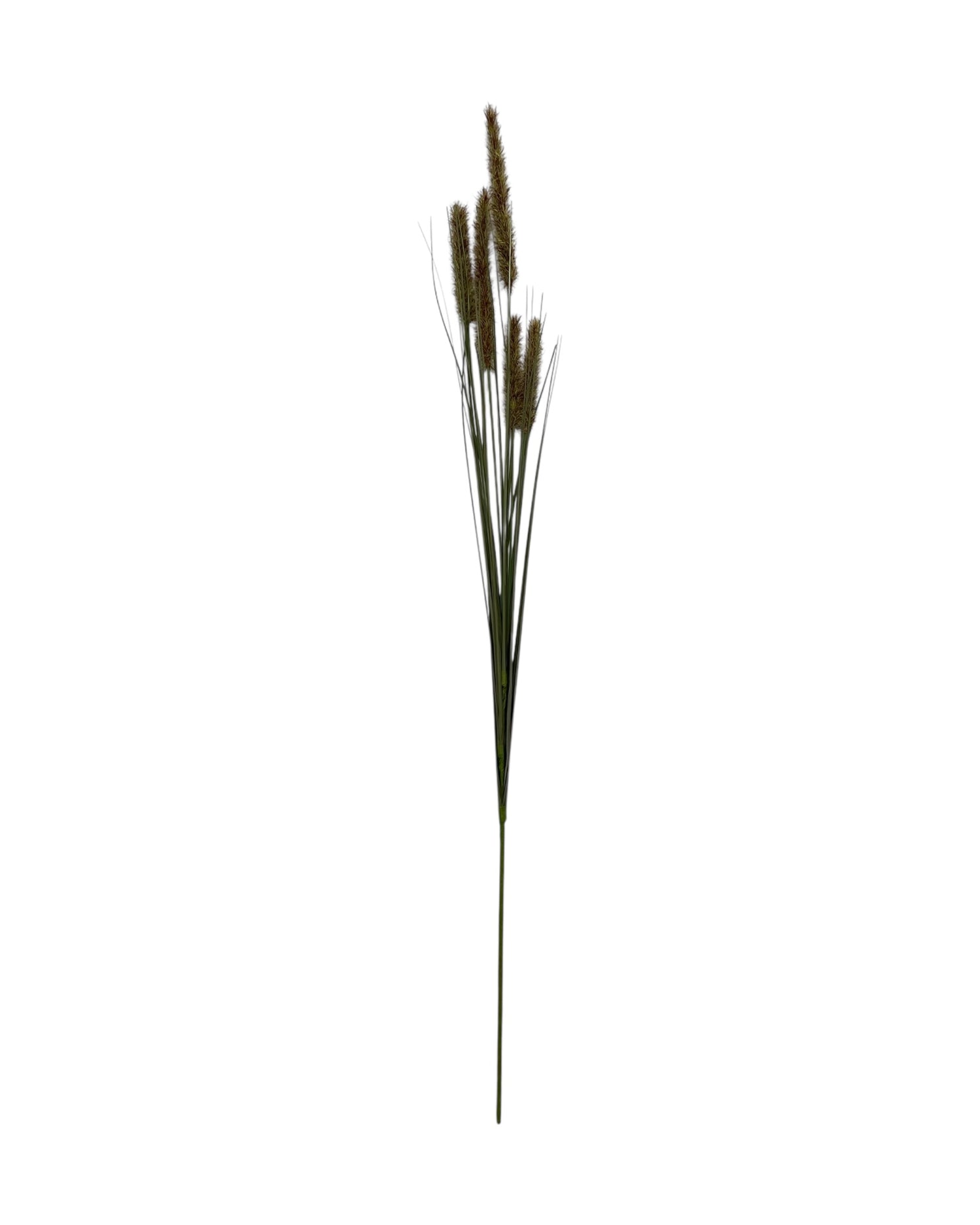 onion grass foxtail 92cm