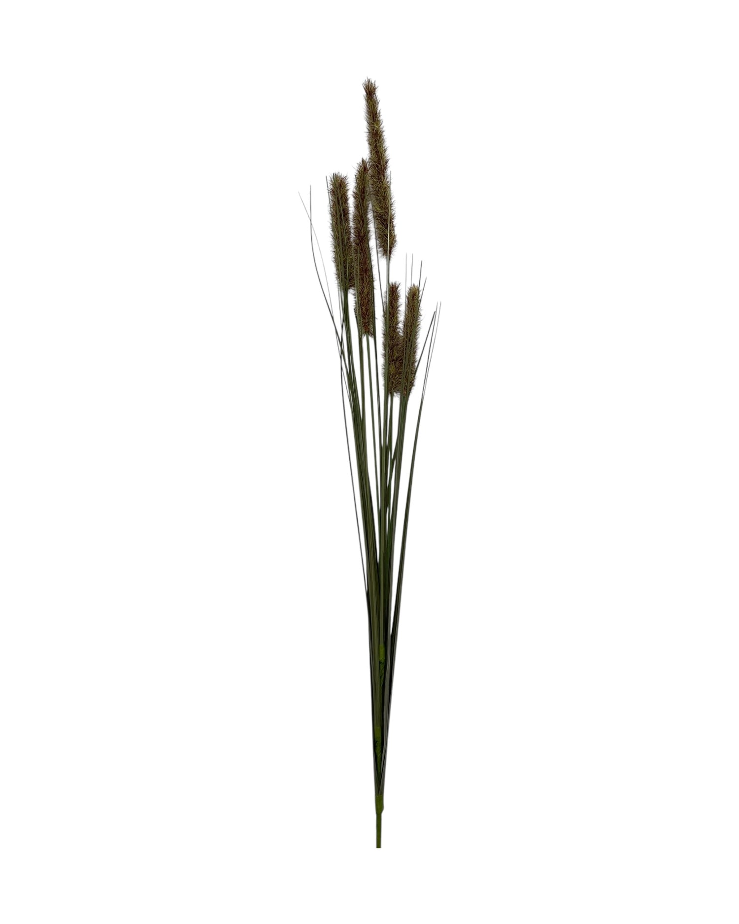 onion grass foxtail 92cm