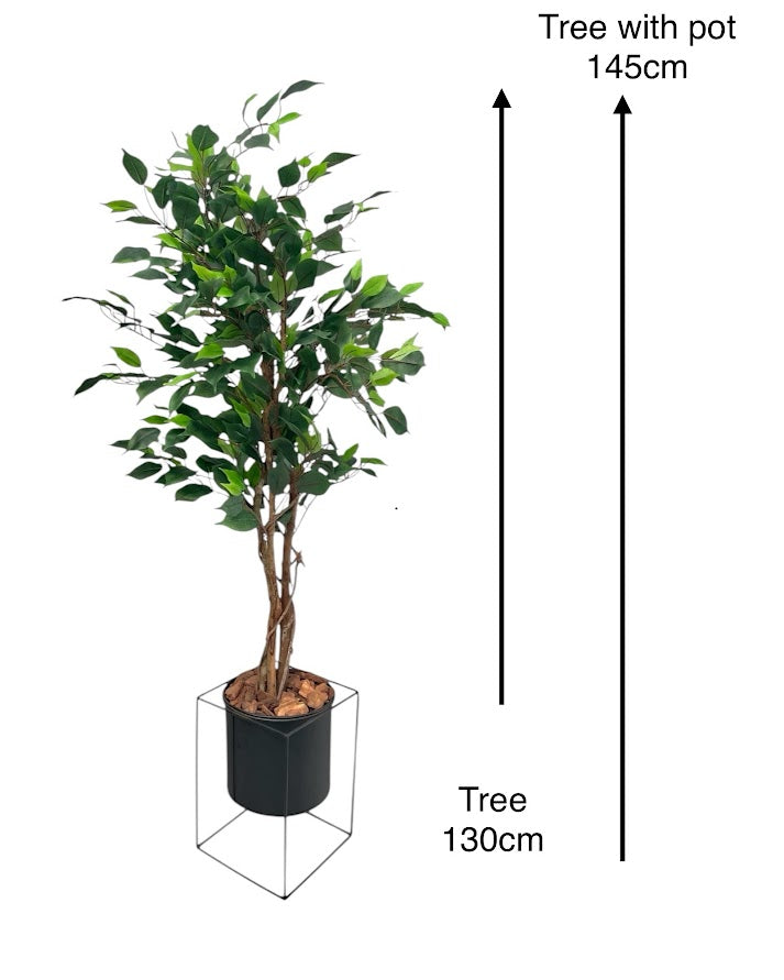 4ft ficus tree and black steele planter combo