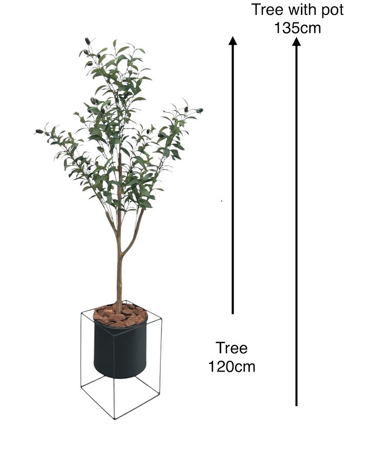 4ft olive tree and black steel planter combo