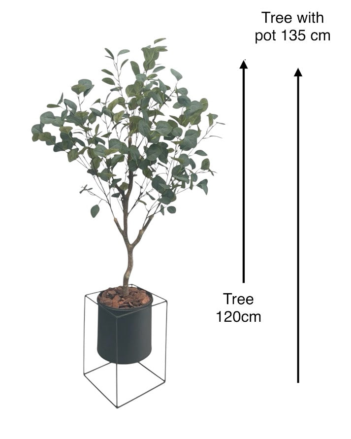 4ft eucalytus tree and black steel planter combo