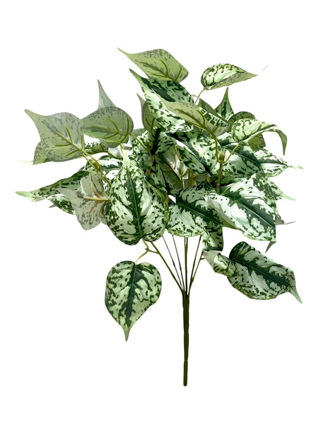 scindapsus bush x7 41cm