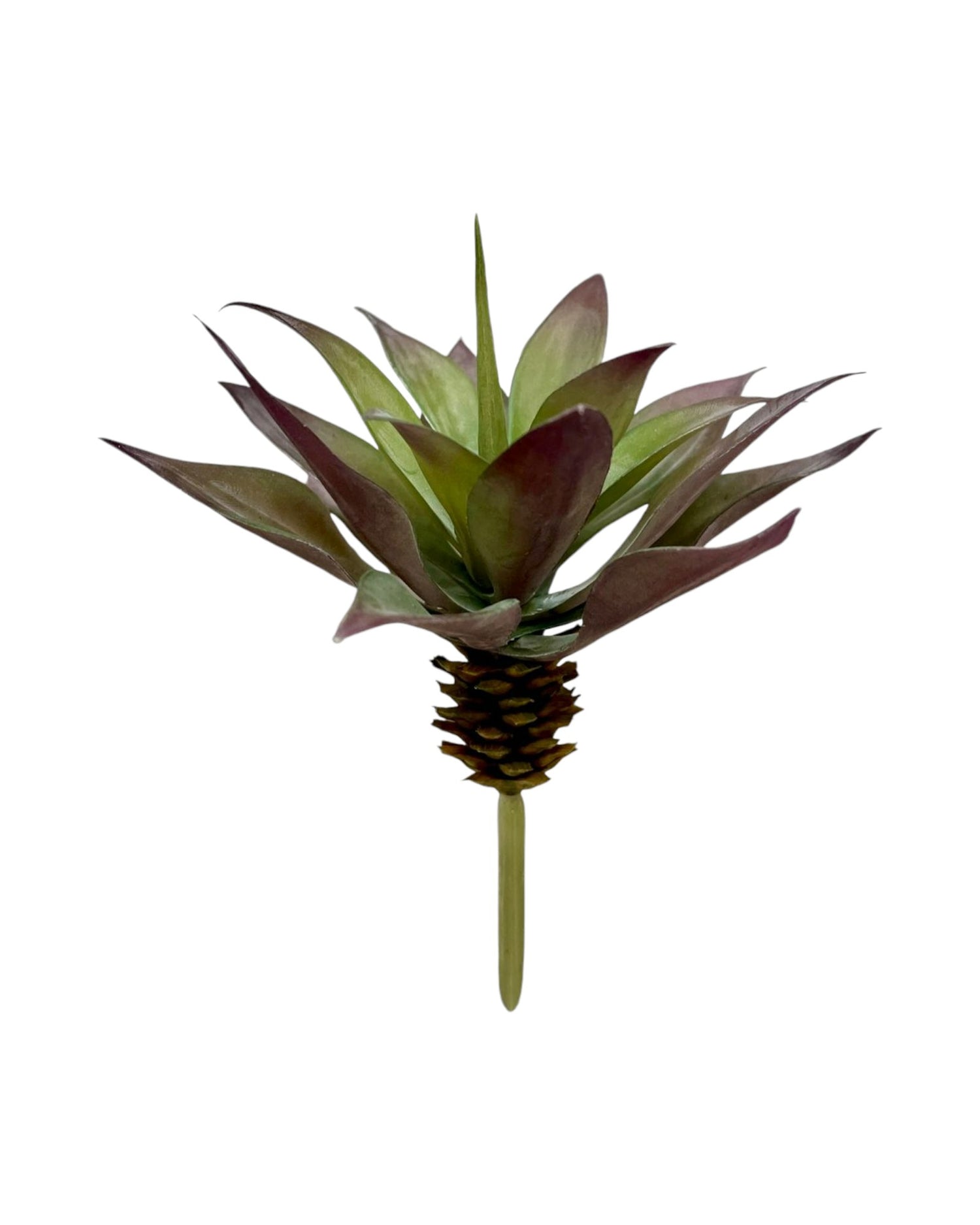 suc 6'' mini agave plant gr/burg