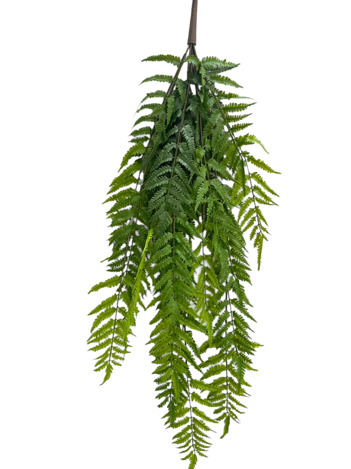 fern hang bush 91cm