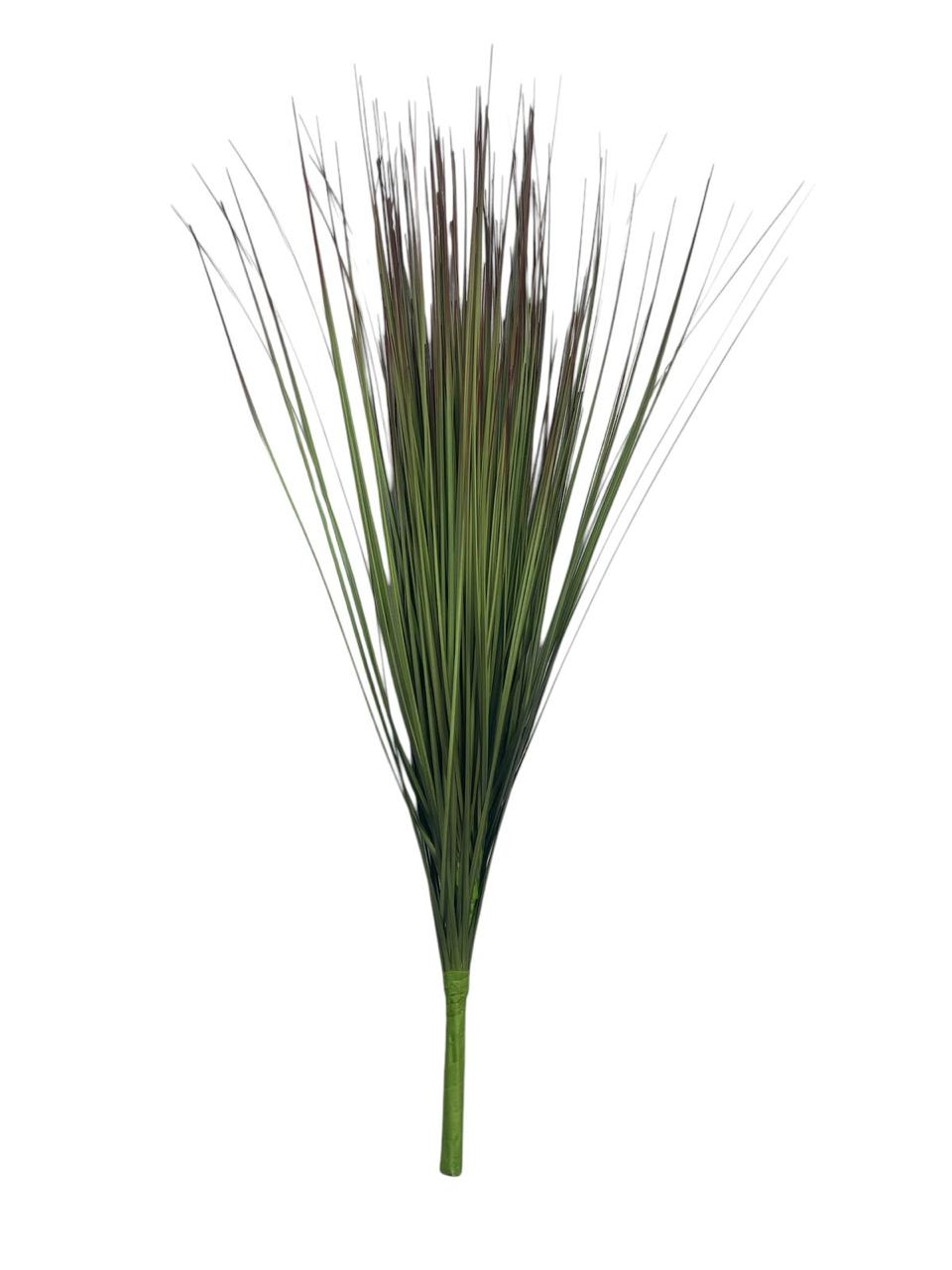 onion grass