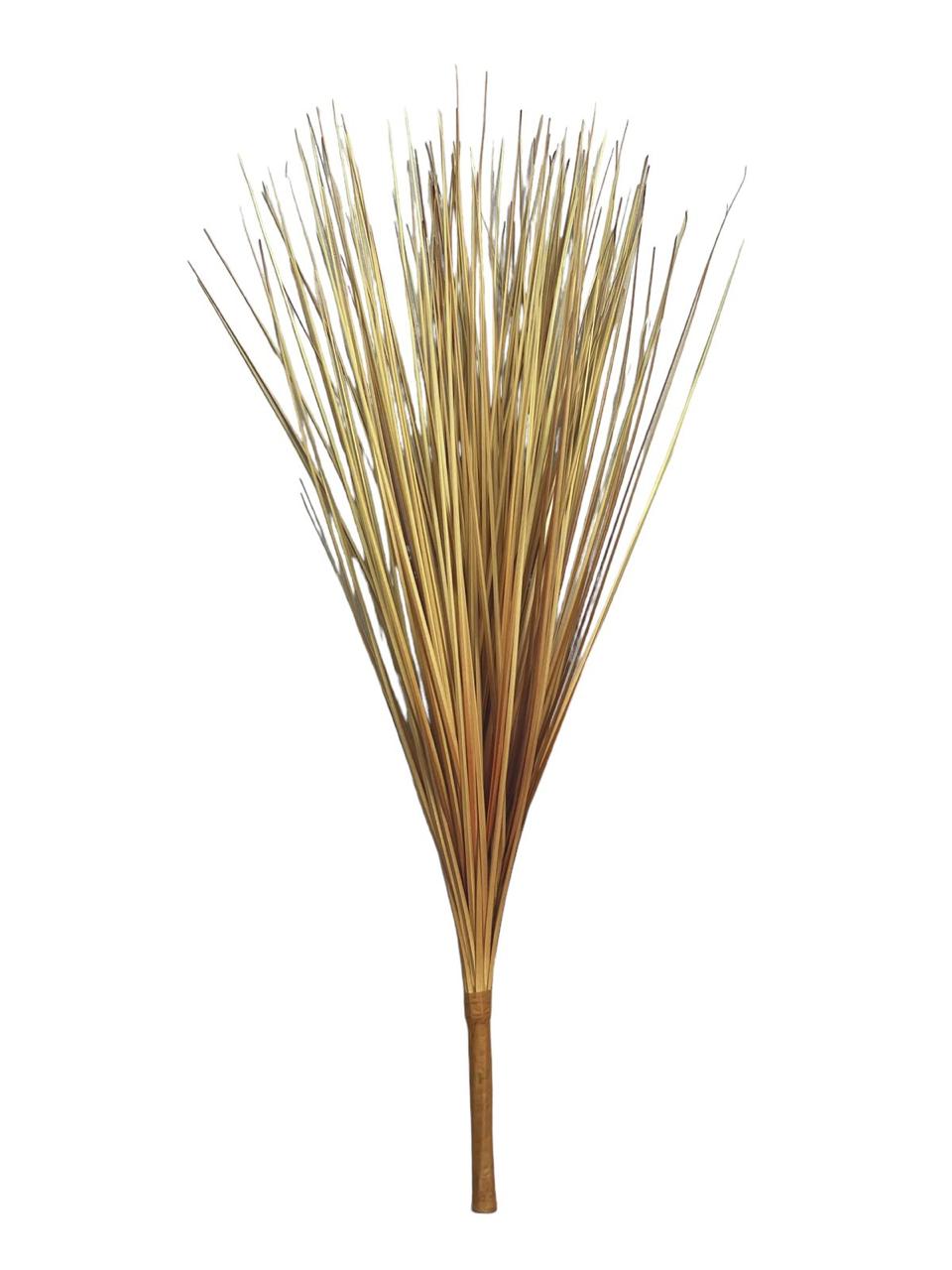onion grass