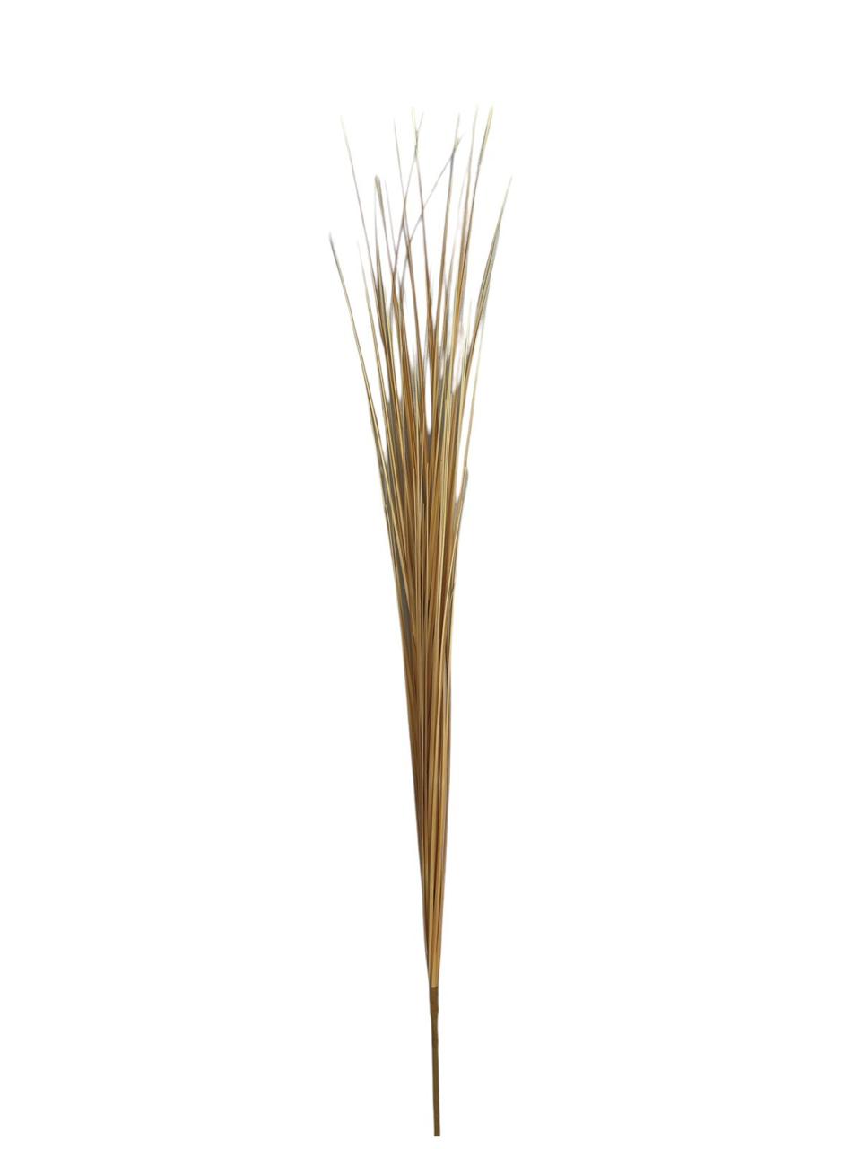 onion grass