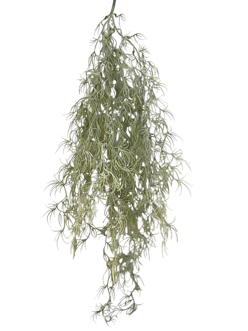 airplant vine 85cm