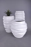 PLANTER SANDDUNE