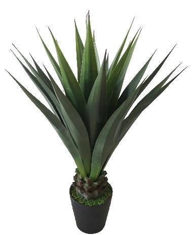 AGAVE GAINT 40'' 24LVS