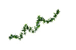 165CM HANGING PRIVET LEAF LRG UV