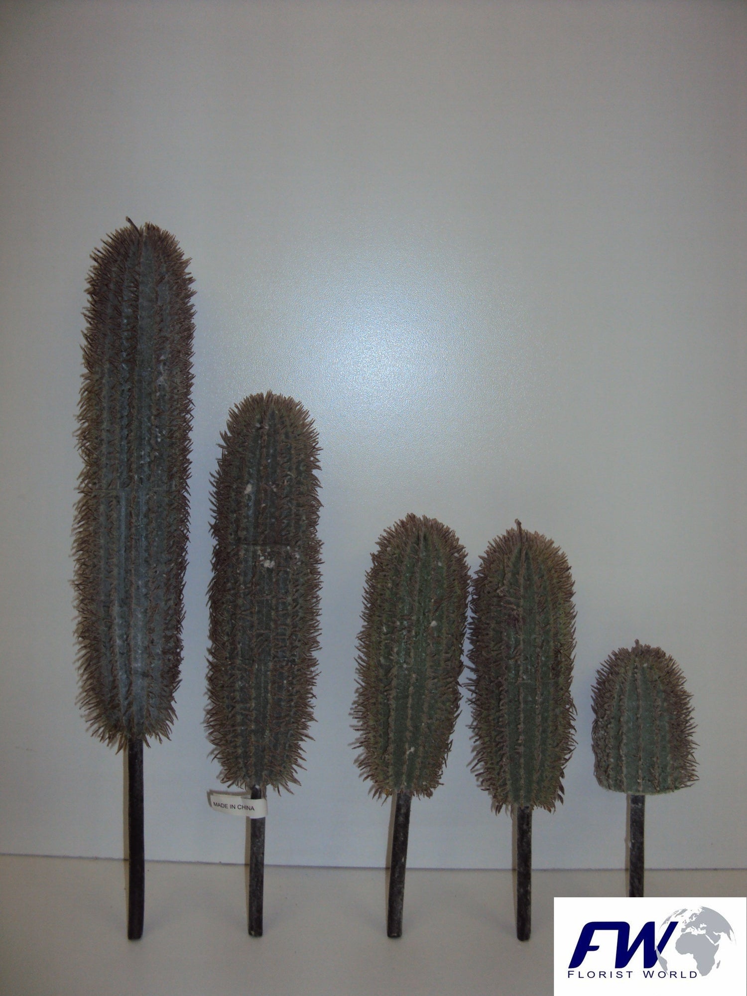 cactus finger x5