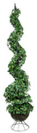 IVY SPIRAL TOUPAIRY