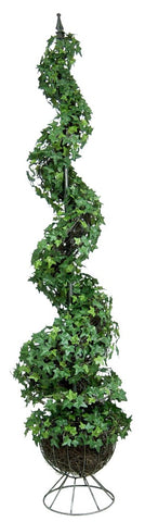 IVY SPIRAL TOUPAIRY