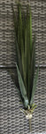 52'' AGAVE GREEN